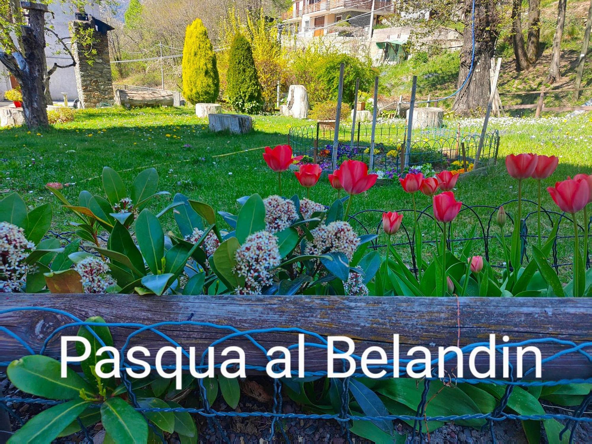 Belandin Ristorante Hotel テーリオ エクステリア 写真